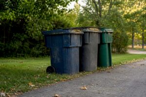 Garbage bins with visible outdoor contamination on driveway